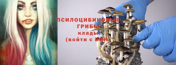 молекула духа Армянск