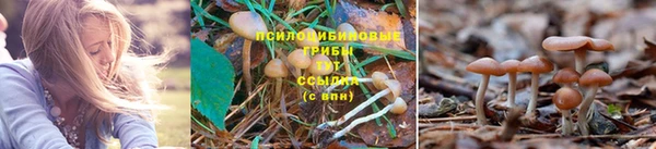 метадон Балахна
