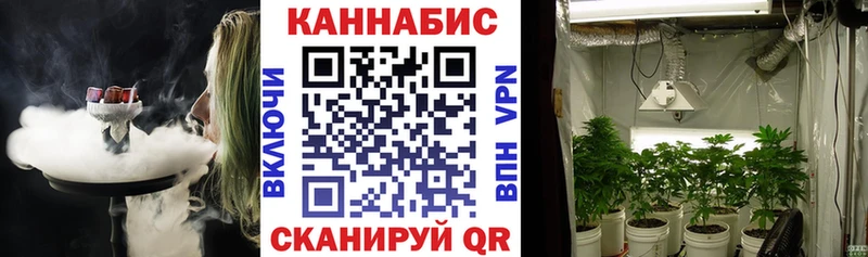 МАРИХУАНА SATIVA & INDICA  Ворсма 